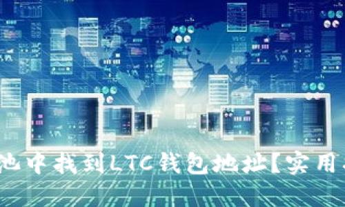  如何在鱼池中找到LTC钱包地址？实用指南与技巧