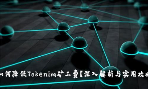 如何降低Tokenim矿工费？深入解析与实用攻略