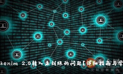 如何解决Tokenim 2.0转入未到账的问题？详细指南与常见疑问解答