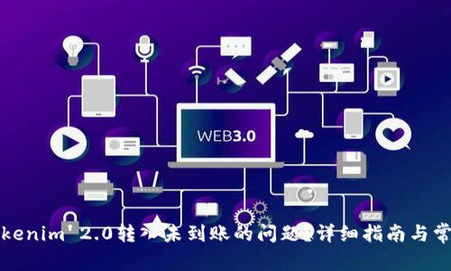 如何解决Tokenim 2.0转入未到账的问题？详细指南与常见疑问解答