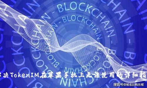 解决TokenIM在苹果手机上无法使用的详细指南