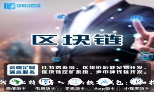 如何将比特币导入您的数字钱包：详细指南