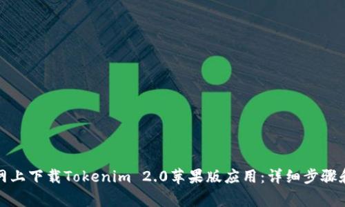如何在官网上下载Tokenim 2.0苹果版应用：详细步骤和注意事项