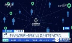 深入探讨Tokenim与OTB的缺失